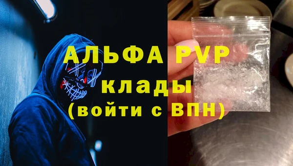 прущие грибы Верхнеуральск